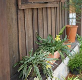 Bao Loc Apartment | Olive Cottage Bao Loc