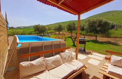 Yavne'el Other | Olive Dome - כיפה גיאודזית ענקית ומודרנית בין עצי הזית