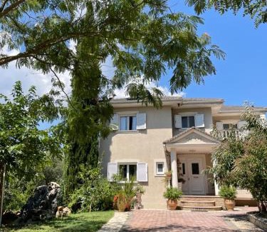 Souli Apartment | Olive Garden Studio