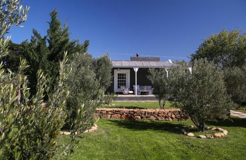 Prince Albert House | Olive Grove House
