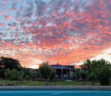 Prince Albert House | Olive Grove House