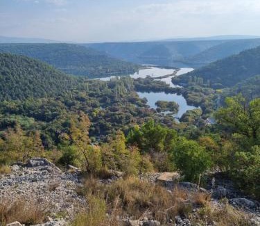 Drinovci Villa | Olive Tree House with Jacuzzi, WiFi and 40m2 pool