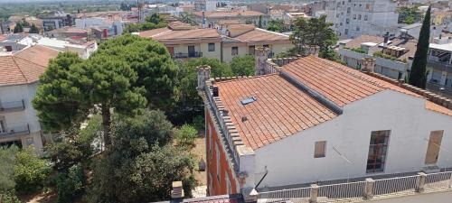 Santeramo in Colle Apartment | OLIVIA e TETI