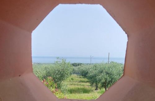 Monte Sant'Angelo Apartment | Olivo Macchia