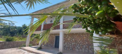 Monte Sant'Angelo Apartment | Olivo Macchia