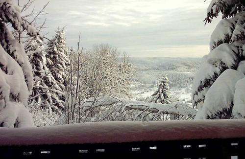 Xonrupt-Longemer Ski Chalet | On the edge of a forest, in a peaceful setting, comfortable wooden chalet rated 3 stars.