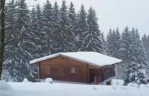 Xonrupt-Longemer Ski Chalet | On the edge of a forest, in a peaceful setting, comfortable wooden chalet rated 3 stars.