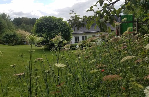 Csorvas RV Rental | Only pitches for mobile homes, tiny houses, tents & others on own land. Property!