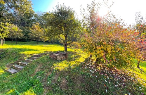 Csorvas RV Rental | Only pitches for mobile homes, tiny houses, tents & others on own land. Property!