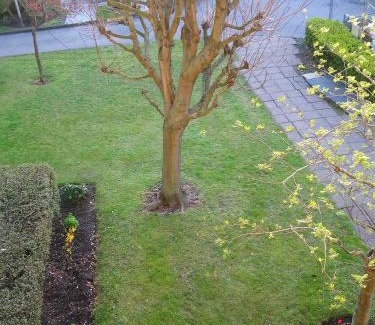 Malo-les-Bains Apartment | OPALINE T3 lumineux avec patio et parking privé