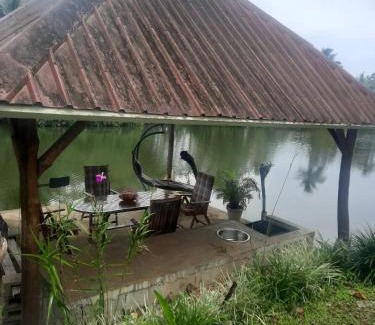 Pacific Harbour Bed & Breakfast | Orchid Island B&B on the River with Pool & Jetty