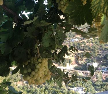 Ajloun Governorate House | ORJAN VIEW