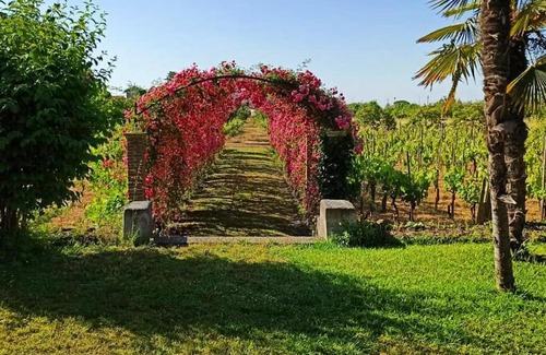 Mascalucia Bed & Breakfast | Orlando, quadrupla con bagno privato