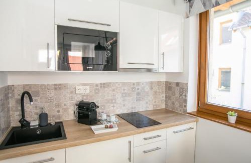 Pecs Apartment | Ormani Modern Stúdióapartman