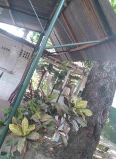 Altagracia House | Ortiz Hospedaje Ometepe