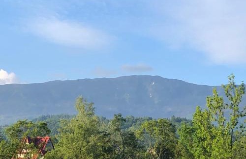 Zawoja Cabin | Osada Babiogórska - domki gościnne