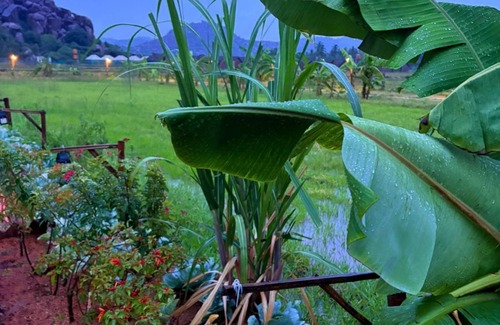 Hampi Resort | Oshos Organic Resort Hampi