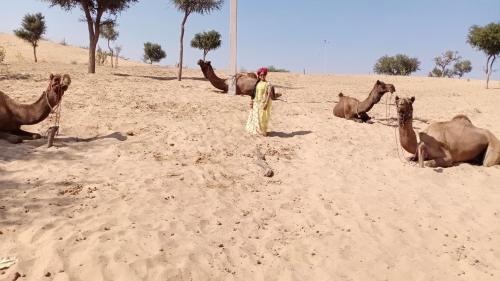 Osian House | Osian Camel safari and Village home stay