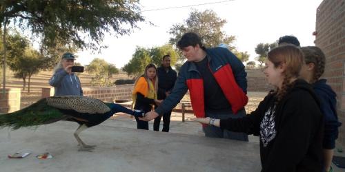 Osian House | Osian Camel safari and Village home stay