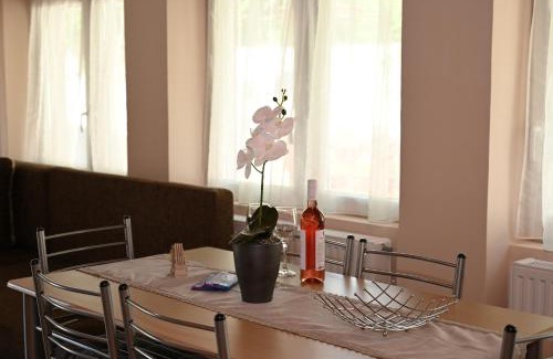 Gyula Apartment | Pálma Apartman