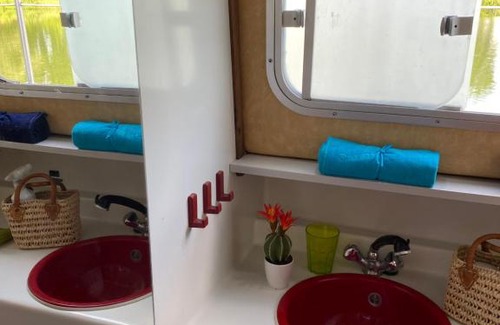 Saint-Symphorien-sur-Saone Boat Rental | Péniche St Remy