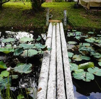 Phatthalung House | Pabhatra Local Stay Phatthalung