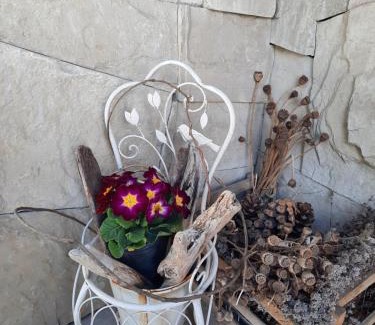 Llao Llao House | Pacha Home By A.M.A