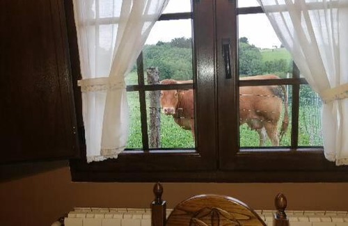 Pumares House | Pajar