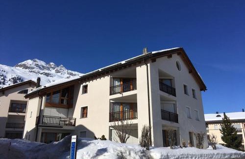 Silvaplana Apartment | Palüdetta 8