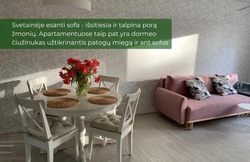 Paluse Apartment | Palūšės Apartment