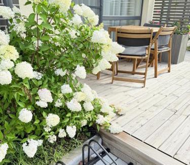 Palanga Apartment | Palanga Apart 5