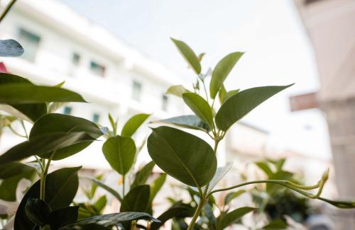 Castelnuovo Cilento Bed & Breakfast | Palazzo ReSilente- B&B dell'Infopoint