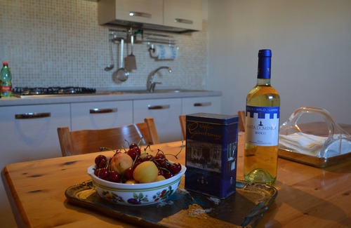 Centro Storico Apartment | - Palazzo Retrò, with a terrace overlooking the historic center of Nardò -