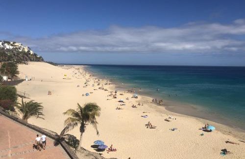 Solana del Matorral House | Palm Garden Jandía By CanariasGetaway