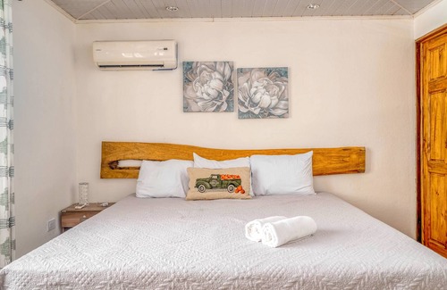 Garabito House | Palm-lined paradise with a pool, wood stove, & mountain views - dog-friendly