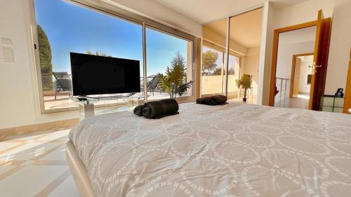 Gairaut Villa | Palm & Sun