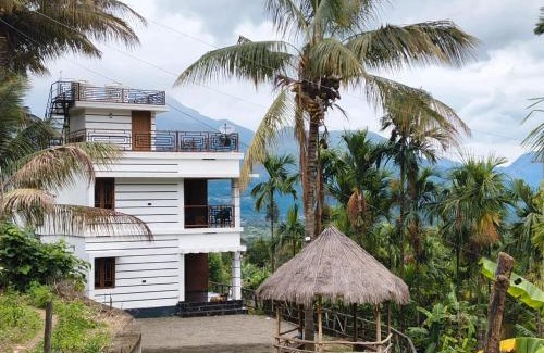 Kanthalloor Villa | Palm view 2