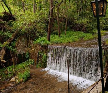 Cicanesti House | PAMJA Guest House