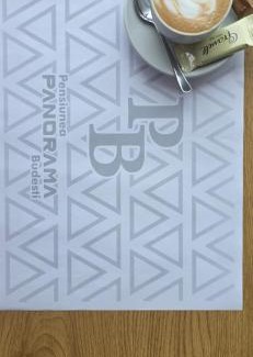 Budesti House | Panorama Budești