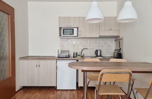 Hajduszoboszlo Apartment | Panorama View Apartment