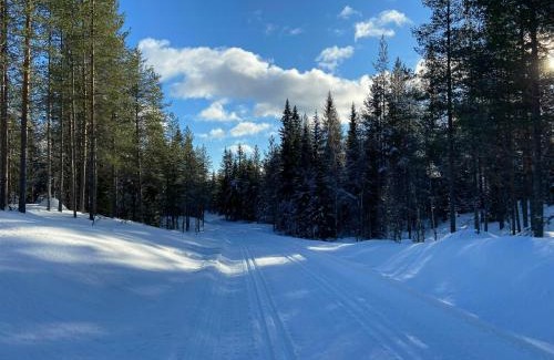 Ljordal House | Panoramic Cabin At Fulufjellet With Ski In Ski Out