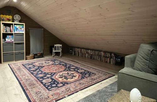 Ljordal House | Panoramic Cabin At Fulufjellet With Ski In Ski Out