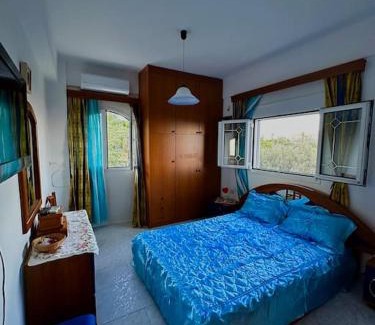 Mournies Apartment | Panoramic Elia Apartment