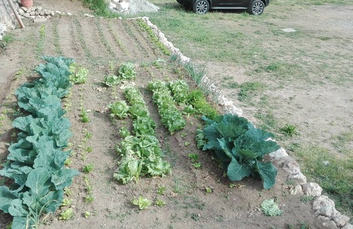 Campinola House | panoramic house on the Amalfi coast