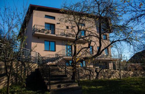 Baia-Sprie House | Panoramic