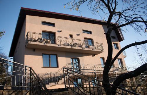 Baia-Sprie House | Panoramic