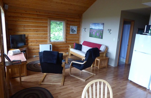 Homer Cabin | Panoramic Views And Privacy On A 40 Acre Homestead