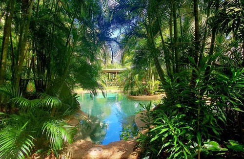 Cooktown Bed & Breakfast | Paperbark Retreat