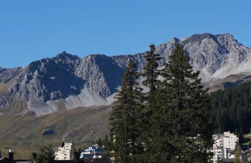 Arosa Apartment | Paradies 411