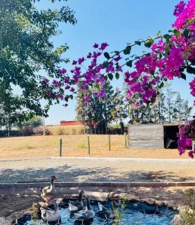 Shoul House | Paradise Farm 20 min from Rabat